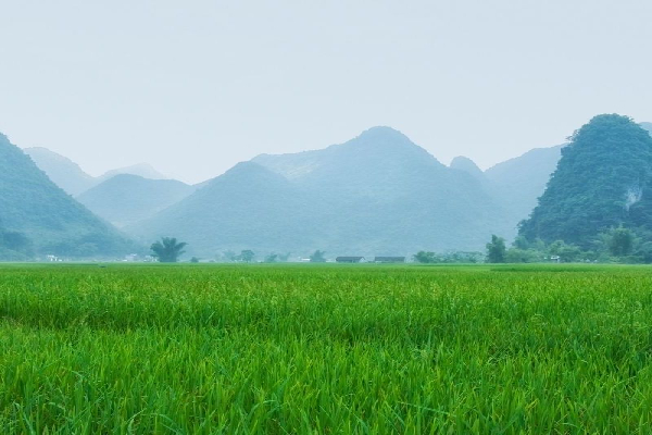 6 Day Ha Giang  Yen Minh Meo Vac  Cao Bang  Ban Gioc Waterfall Tour - photo 31